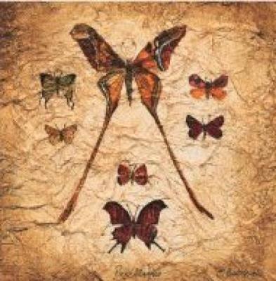 Papillons I V art print by Claudette Beauvais