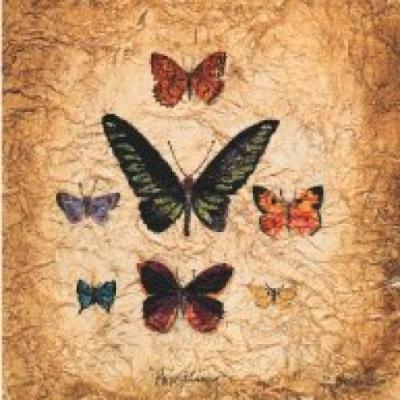 Papillons III art print by Claudette Beauvais