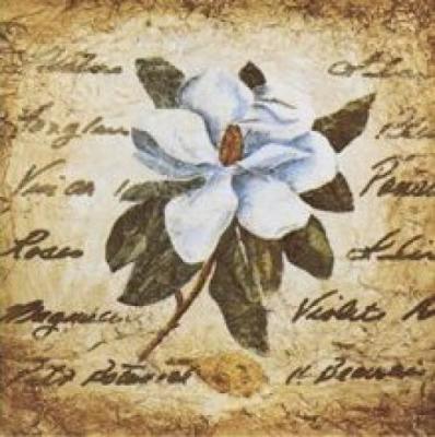 White Petit Botanical art print by Claudette Beauvais
