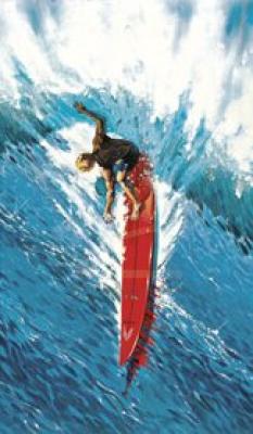 Steep Drop art print by Croci