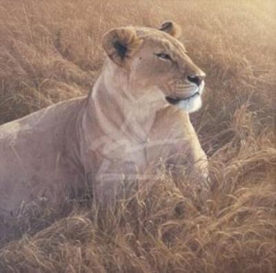 African Queen