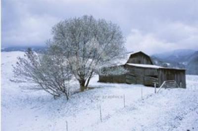 Icicle Magic art print by David Lorenz Winston