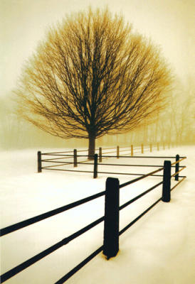 Solitude art print by David Lorenz Winston