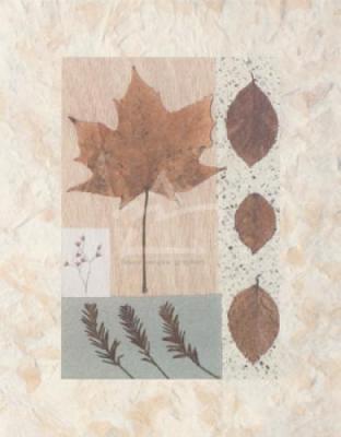 Copper Beech art print by Duplock