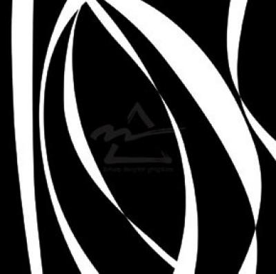 Fistral Nero Blanco I art print by Duplock