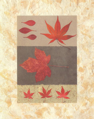 Red Maple art print by Duplock