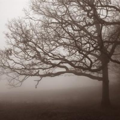 Silence art print by Erin Clark
