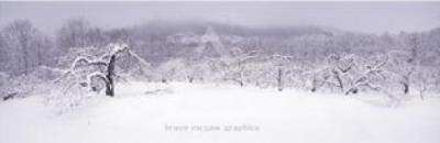 The Seasons Project - 29 March, 10:25 AM art print by Frederick Charles