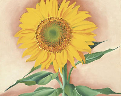 A Sunflower from Maggie, 1937 art print by Georgia O'Keeffe