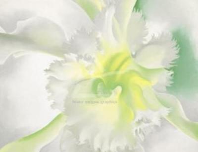 An Orchid art print by Georgia O'Keeffe