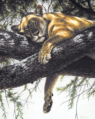 Lake Manyara Lioness art print by Guy Coheleach