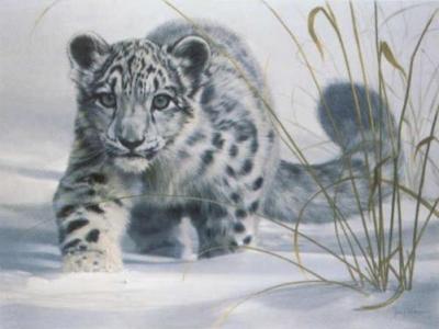 Snow Leopard Club art print by James Coleman