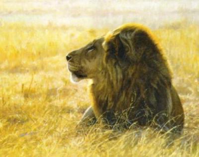 Danger on the Wind art print by John Banovich