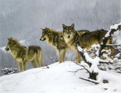 The Return art print by John Banovich