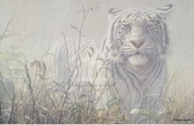 Monsoon White Tiger art print by John Seerey-Lester