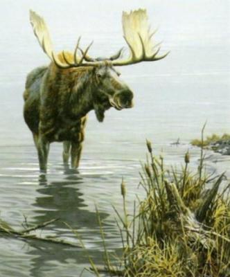 Silent Waters art print by John Seerey-Lester