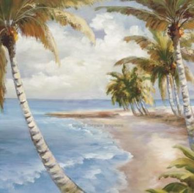 Palm Paradise