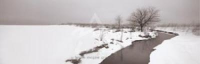Winter Stream art print by Mark MacKinnon