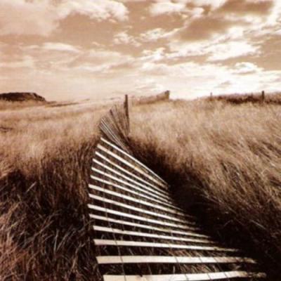 Dune Fence art print by Michael Kahn