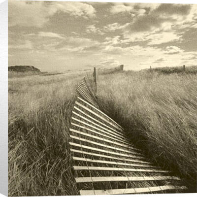 Dune Fence art print by Michael Kahn