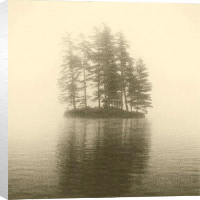 Pine Tree Island art print by Michael Kahn