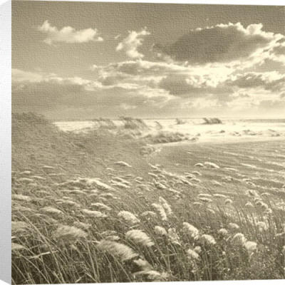 Swan Pond art print by Michael Kahn