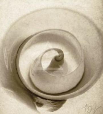 Cut Shell