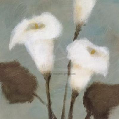 Purity