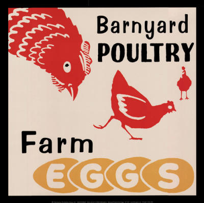 Barnyard Poultry - Farm Eggs