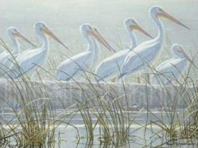 Bounty of the Wetlands (Detail)