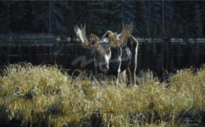Autumn Foraging art print by Ron Parker