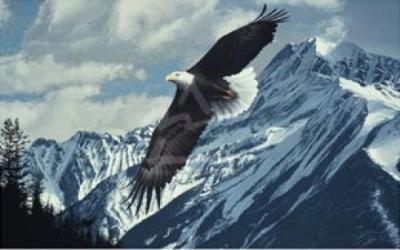 Wings over Winter art print by Ron Parker