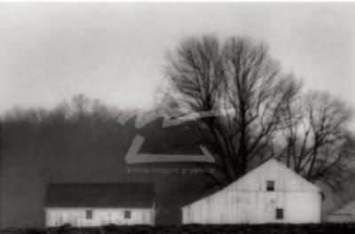 Shack and Barn art print by Ron Tarver