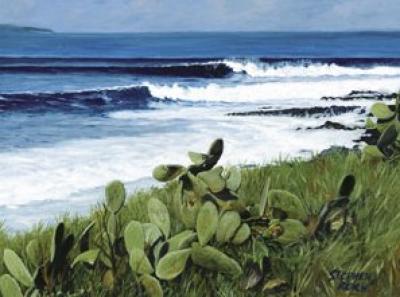 Coconuts art print by S. Reich
