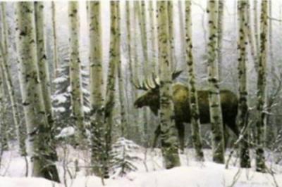 A Walk in the Woods art print by Stephen Lyman