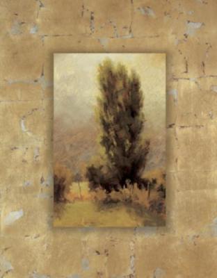 Soft Morning Light art print by Steve McGinty