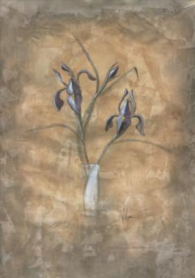 Purple Iris art print by Vicki Wilber