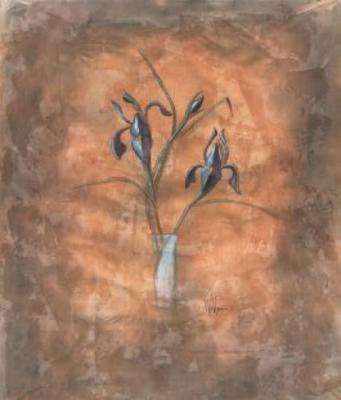 Purple Iris