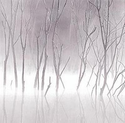 Soft Light II art print by Adam Brock