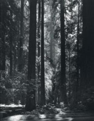 by Ansel Adams ansel adams. by Ansel Adams