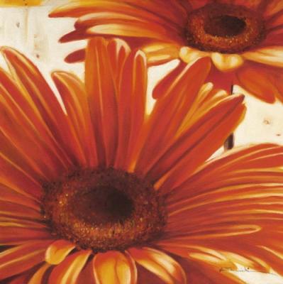 Shining Gerbera art print by Arkadiusz Warminski