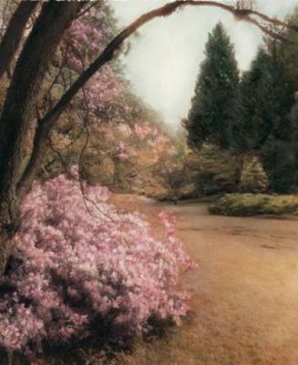 Azalea Way art print by Barbara Kalhor