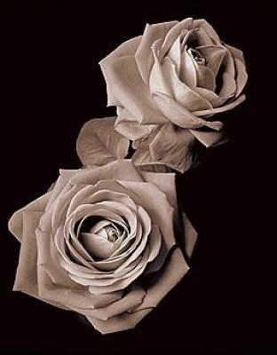 Heartfelt II art print by Bill Philip