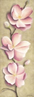 Apple Blossoms art print by Caroline Wenig