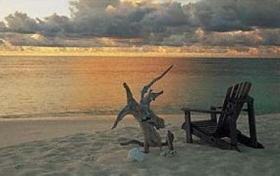 Tropical Sundowner art print by Chris Simpson