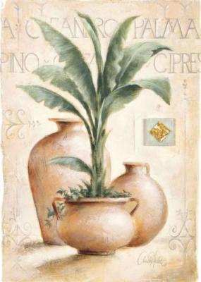 Palma art print by Claudio Ancilotti