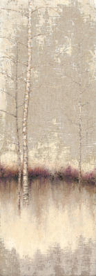Birch Shadows 2