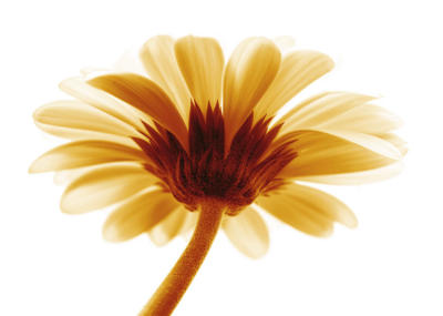 Lichtbote I