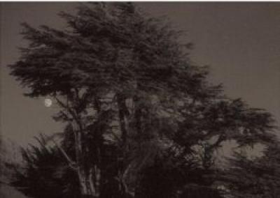 Harvest Moon art print by Paul Kozal