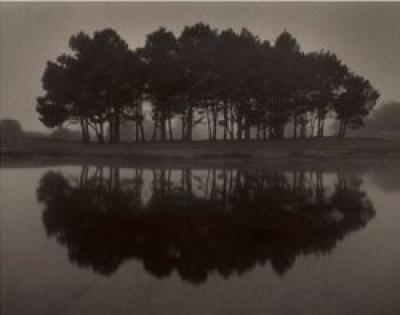 Sea Ranch Links art print by Paul Kozal